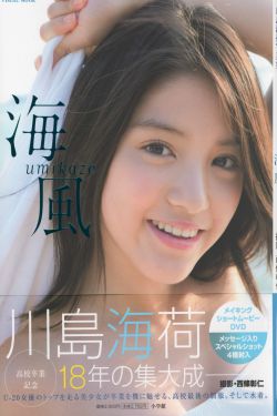 黑寡妇2